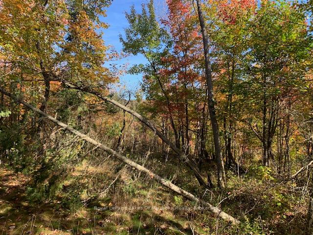 Photo 15 of Sugar Bush Road E, Magnetawan — HOMEH