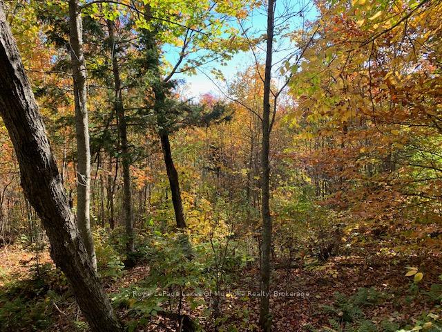 Photo 16 of Sugar Bush Road E, Magnetawan — HOMEH