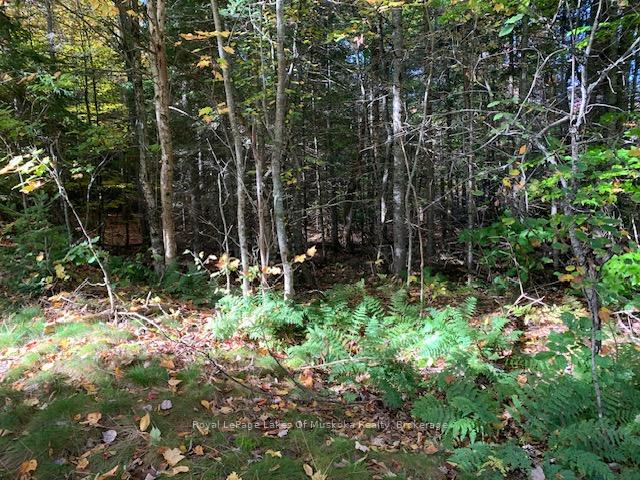 Photo 18 of Sugar Bush Road E, Magnetawan — HOMEH