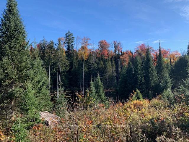 Photo 19 of Sugar Bush Road E, Magnetawan — HOMEH