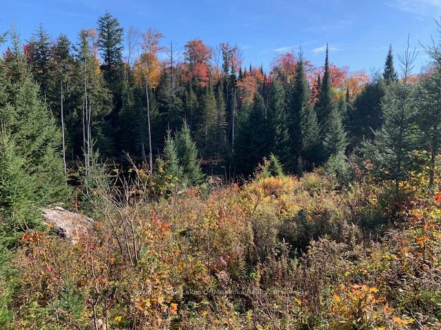 Photo 21 of Sugar Bush Road E, Magnetawan — HOMEH