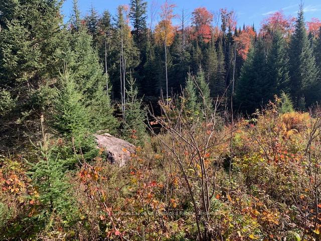 Photo 23 of Sugar Bush Road E, Magnetawan — HOMEH