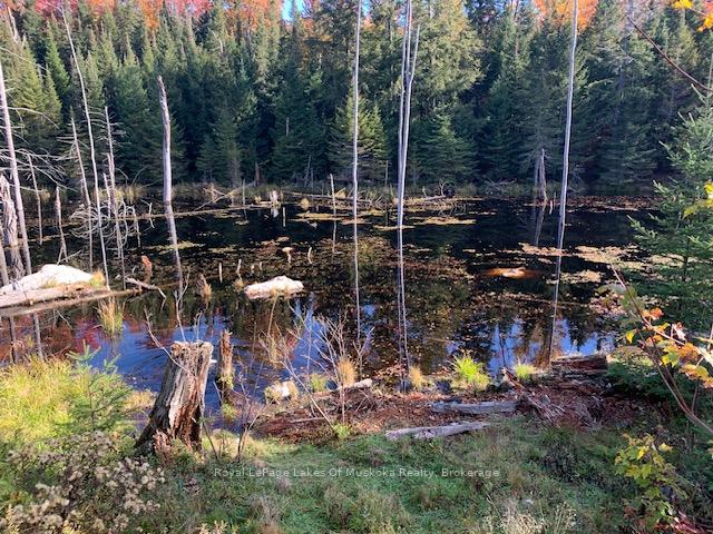 Photo 24 of Sugar Bush Road E, Magnetawan — HOMEH