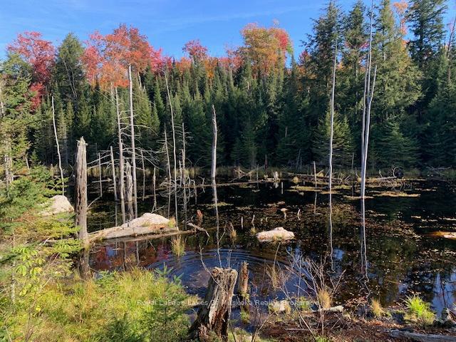 Photo 25 of Sugar Bush Road E, Magnetawan — HOMEH
