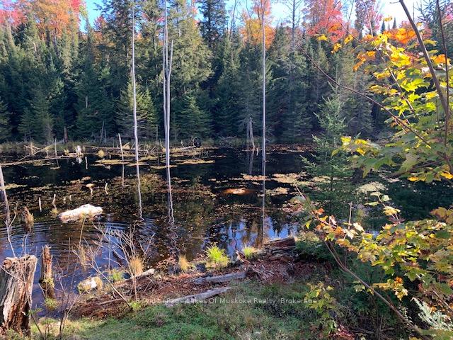 Photo 26 of Sugar Bush Road E, Magnetawan — HOMEH