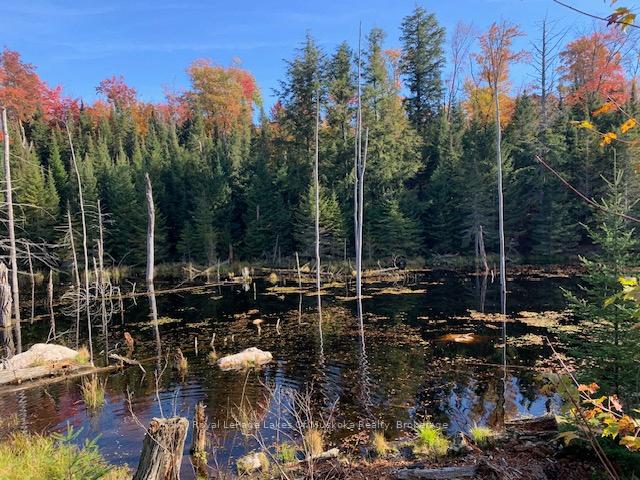 Photo 27 of Sugar Bush Road E, Magnetawan — HOMEH