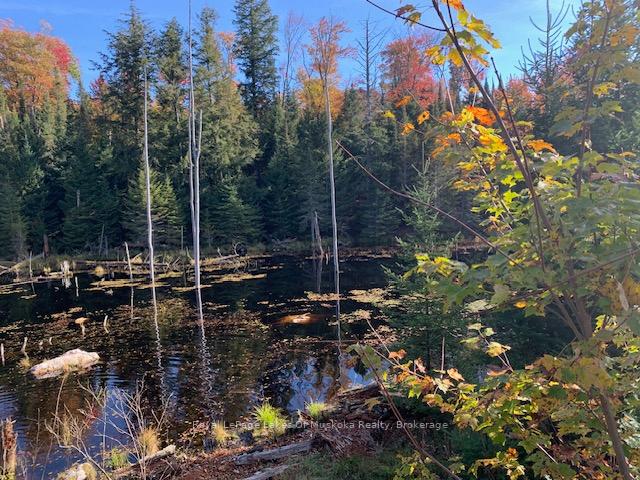 Photo 28 of Sugar Bush Road E, Magnetawan — HOMEH