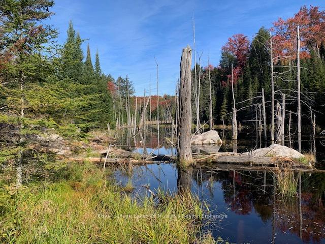 Photo 29 of Sugar Bush Road E, Magnetawan — HOMEH