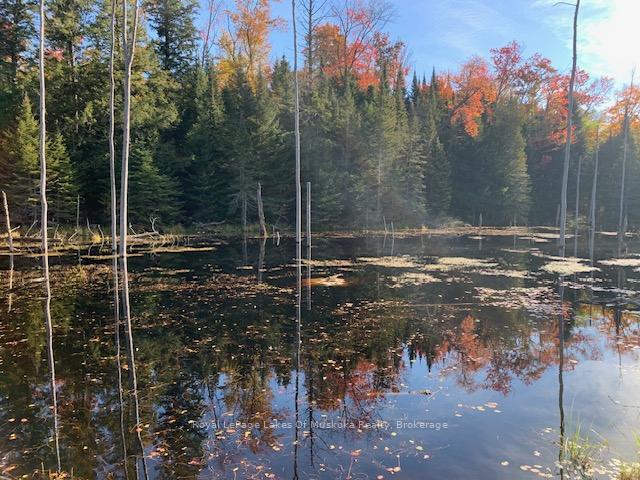 Photo 30 of Sugar Bush Road E, Magnetawan — HOMEH
