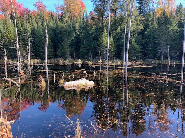 Photo 31 of Sugar Bush Road E, Magnetawan — HOMEH