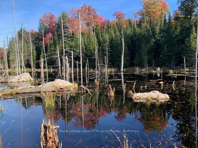 Photo 32 of Sugar Bush Road E, Magnetawan — HOMEH