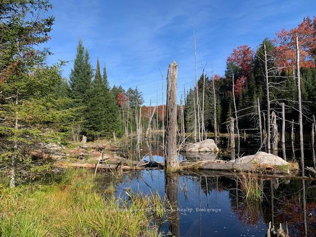 Photo 33 of Sugar Bush Road E, Magnetawan — HOMEH