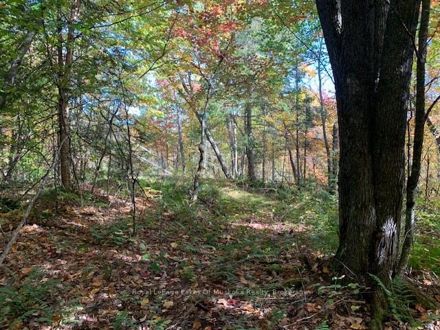 Photo 34 of Sugar Bush Road E, Magnetawan — HOMEH