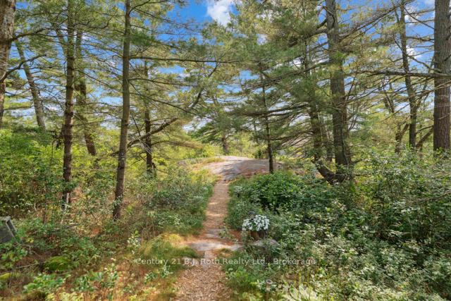 Photo 30 of 1 252c Island, Carling — HOMEH