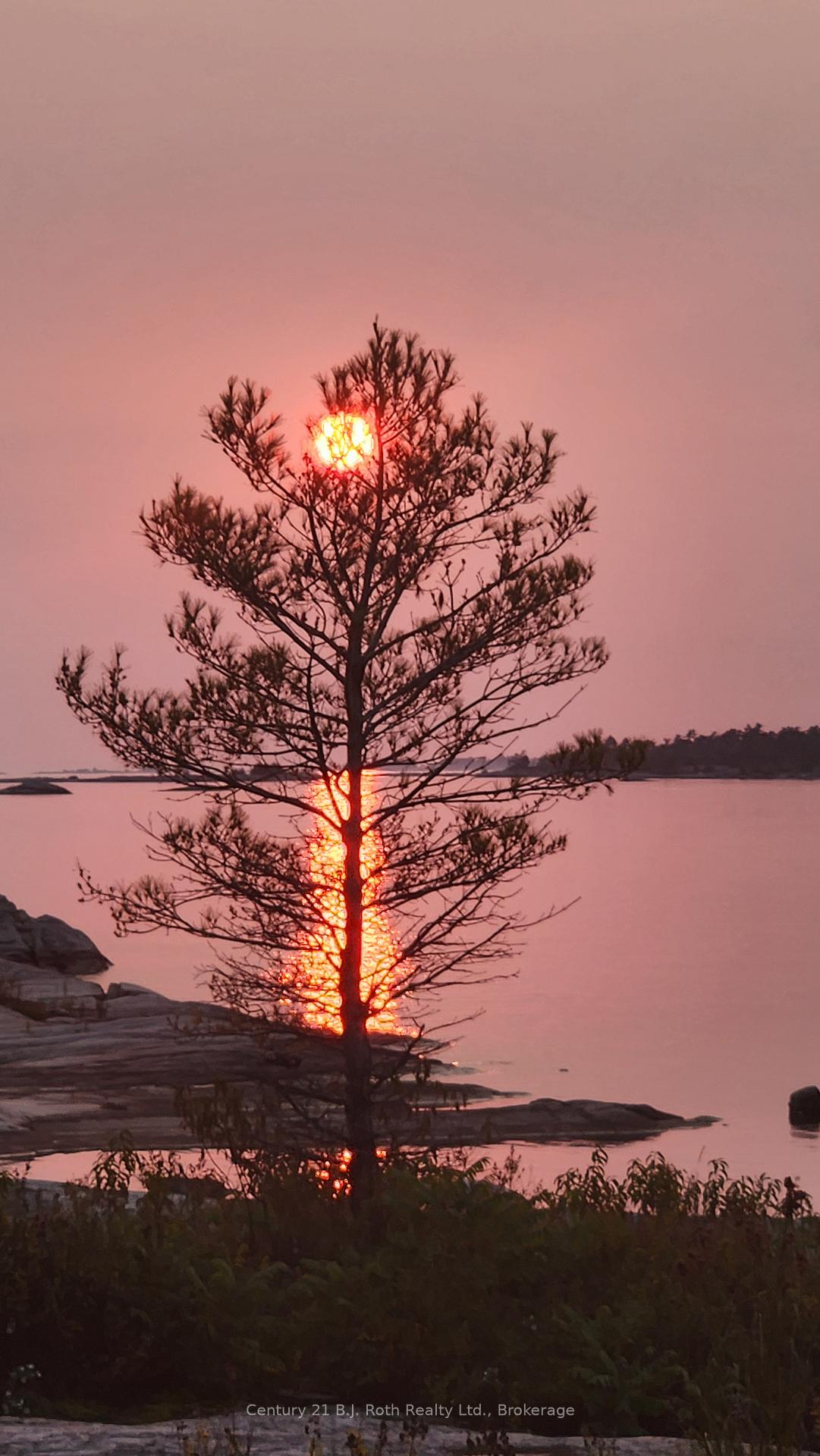 Photo 50 of 1 252c Island, Carling — HOMEH