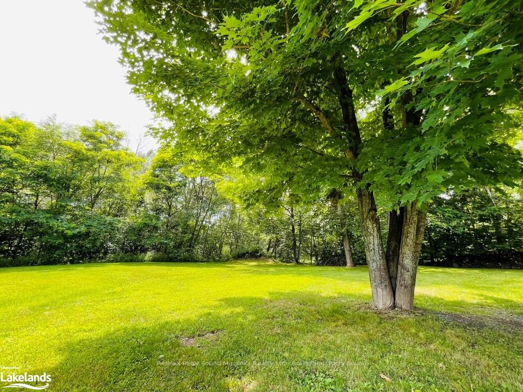 Photo 11 of 51 Hardies Road, McKellar — HOMEH