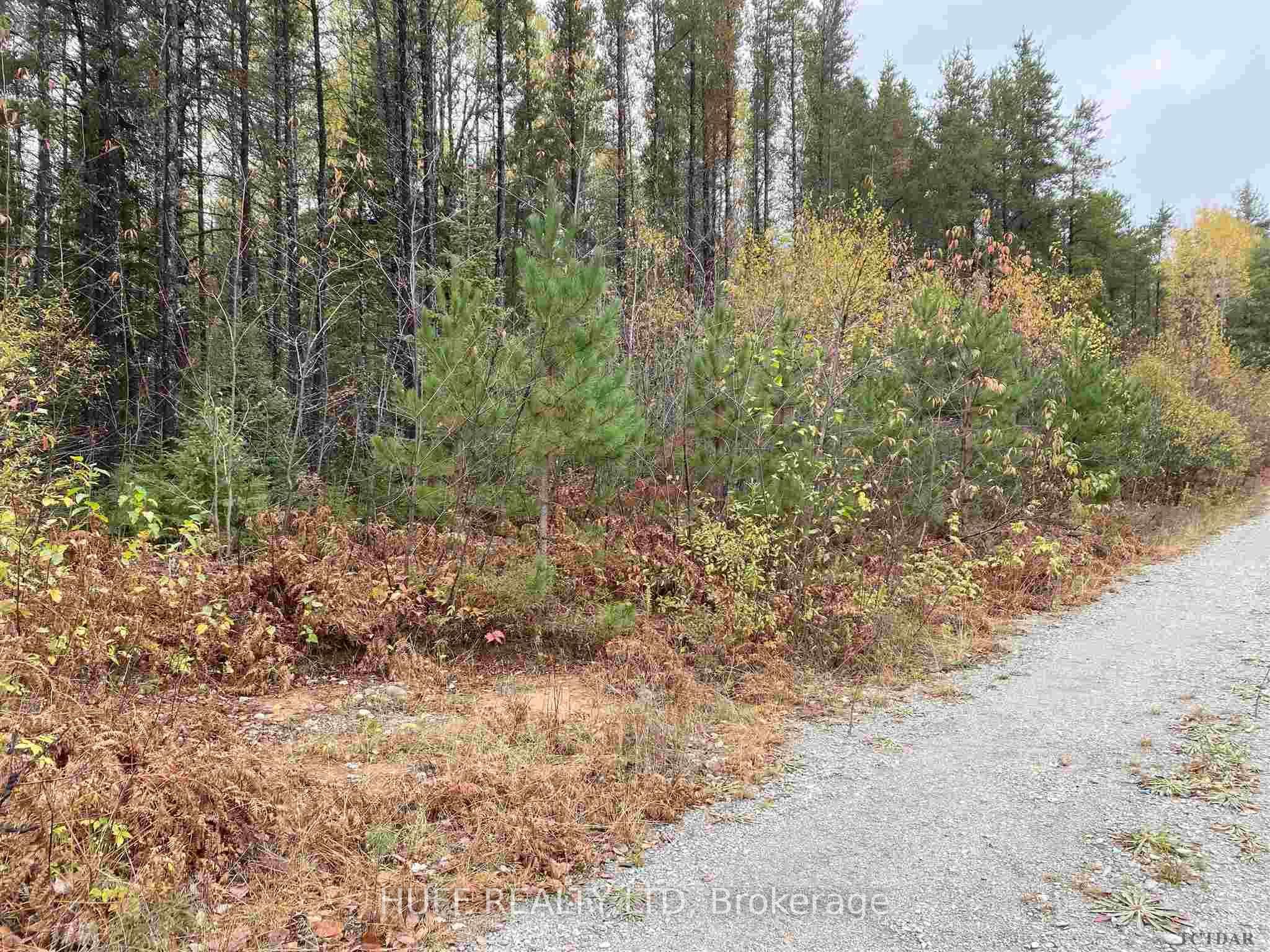 Photo 3 of L1 Con 5 Road, Englehart, Central Timiskaming — HOMEH