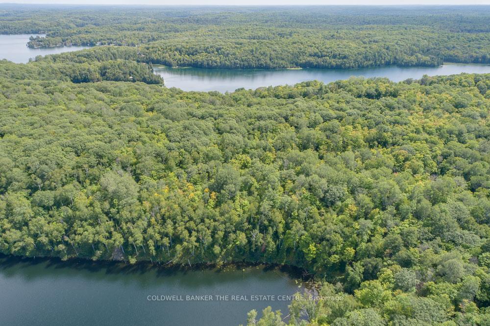 Photo 36 of 800 Jeffrey Lake Road, Faraday — HOMEH