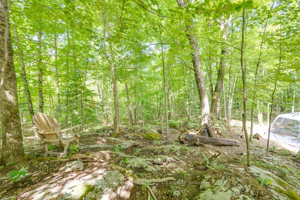 Photo 44 of 800 Jeffrey Lake Road, Faraday — HOMEH
