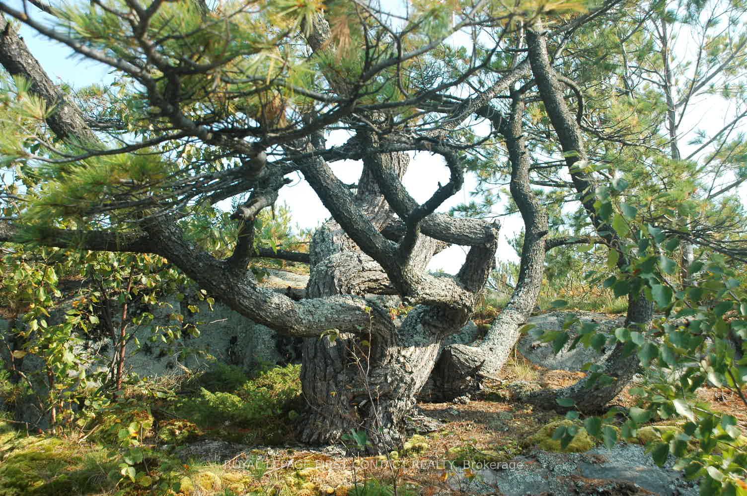 Photo 31 of 1 A249 Island, The Archipelago, Archipelago North — HOMEH