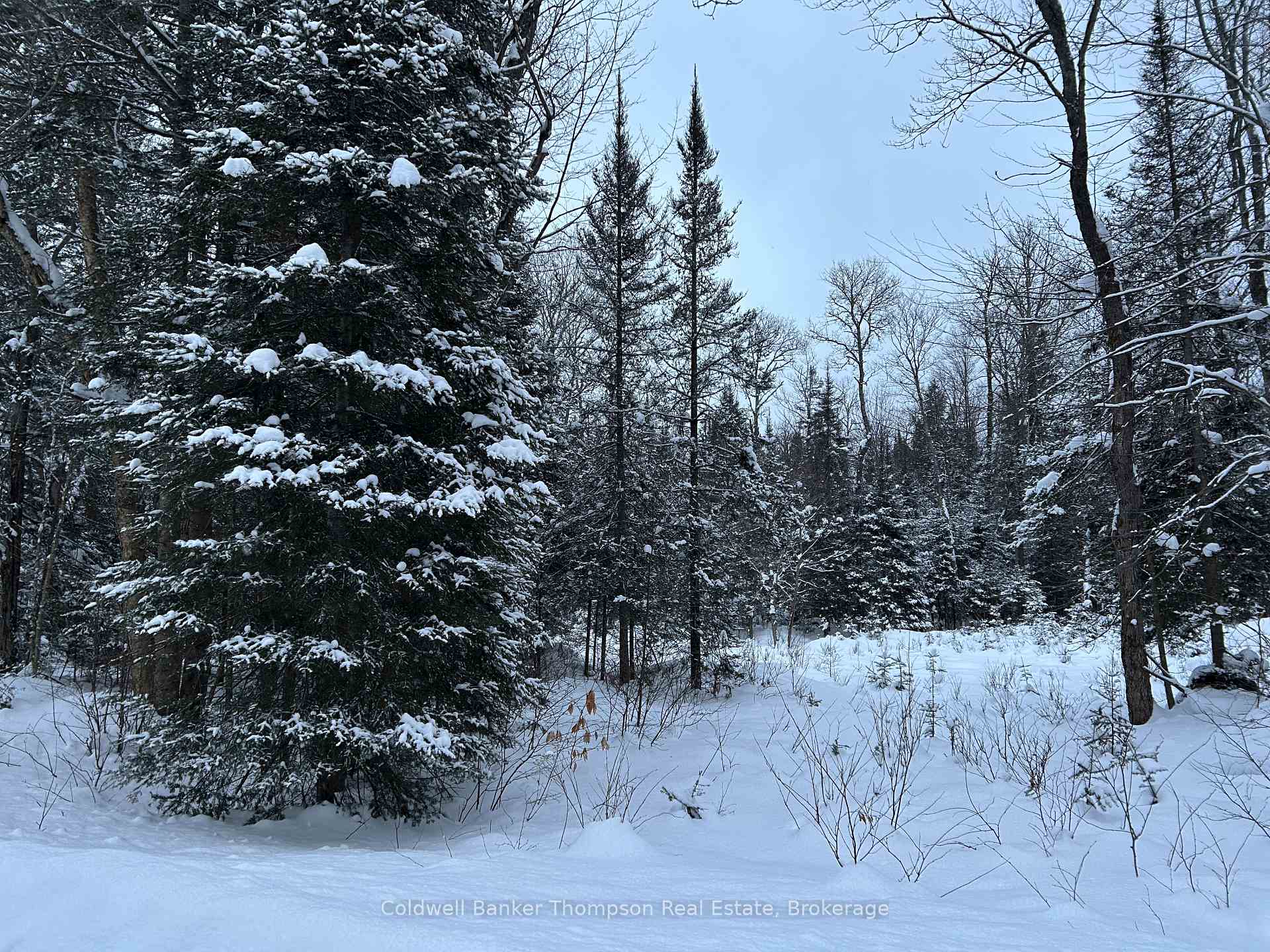 Photo 8 of Bray Lake Road, Machar — HOMEH