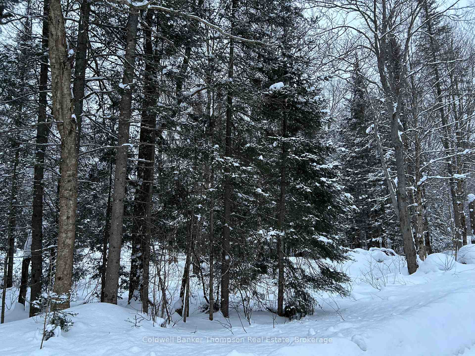 Photo 9 of Bray Lake Road, Machar — HOMEH