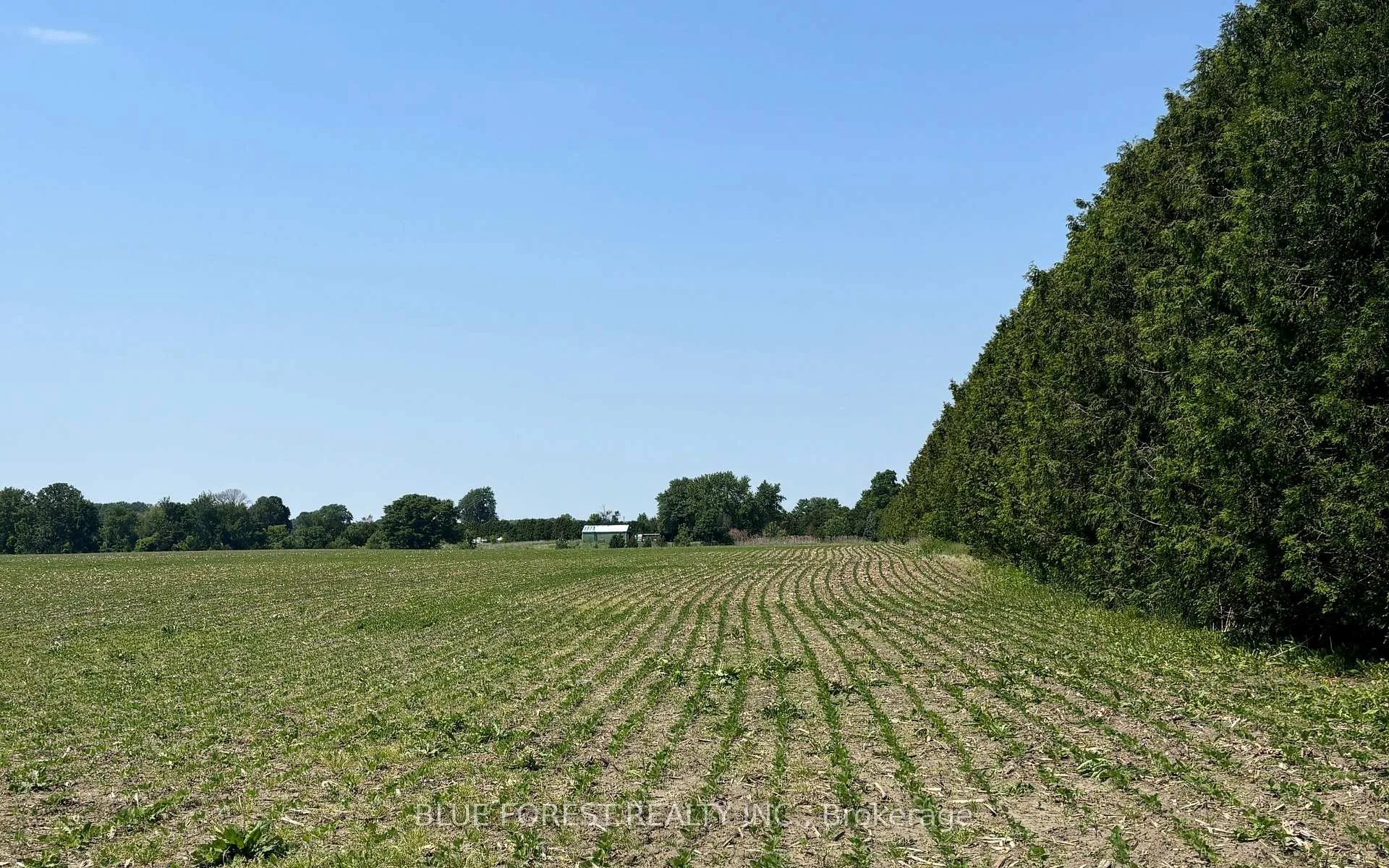 Photo 3 of Downie Road, Dawn-Euphemia — HOMEH