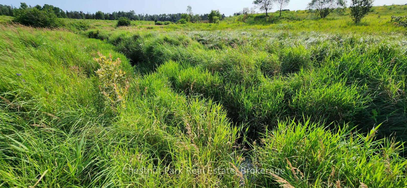 Photo 7 of Pearceley Road, Magnetawan — HOMEH