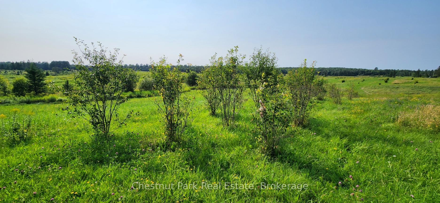 Photo 9 of Pearceley Road, Magnetawan — HOMEH