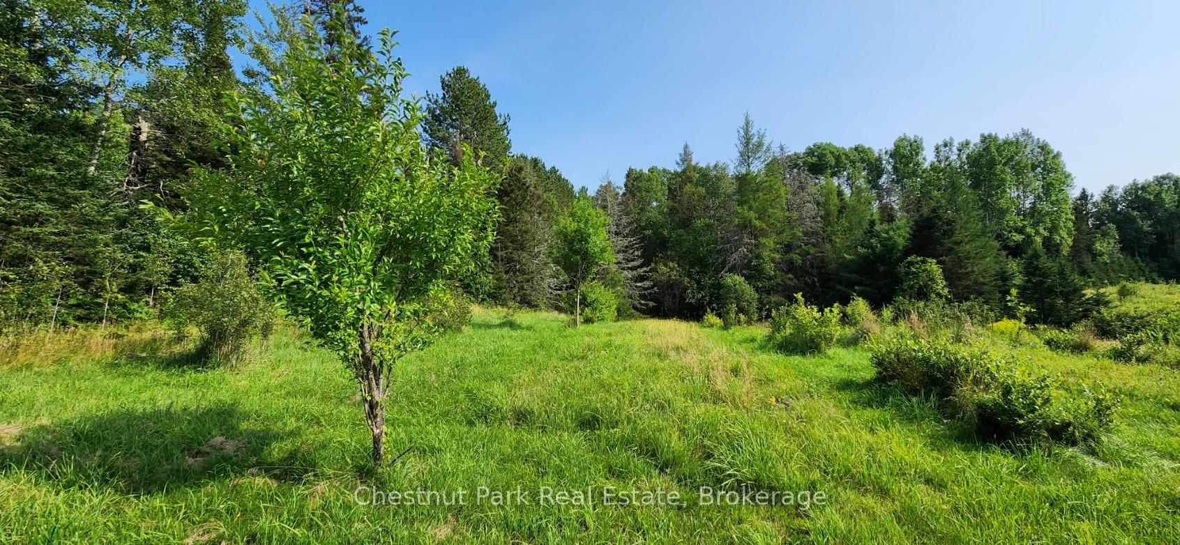 Photo 10 of Pearceley Road, Magnetawan — HOMEH