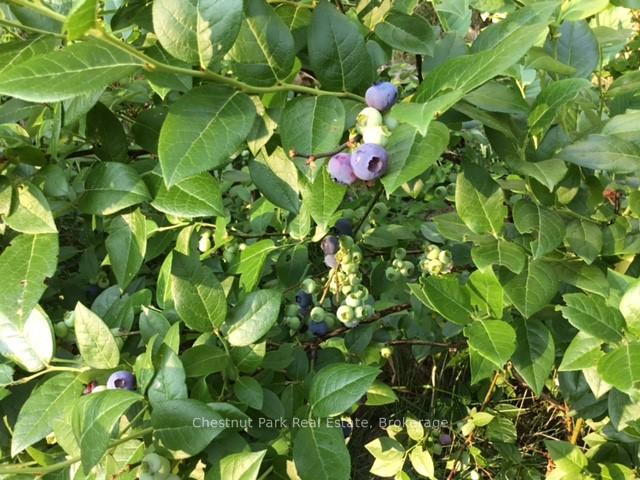 Photo 11 of Pearceley Road, Magnetawan — HOMEH