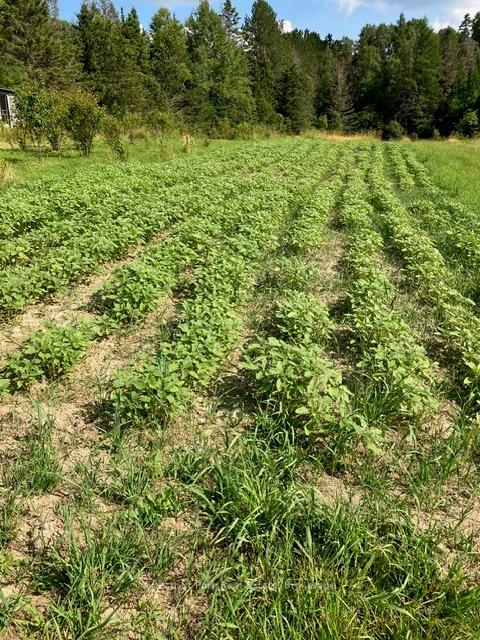 Photo 12 of Pearceley Road, Magnetawan — HOMEH