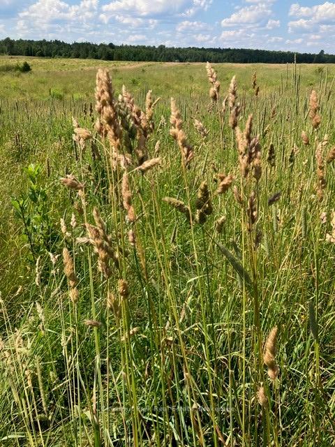 Photo 17 of Pearceley Road, Magnetawan — HOMEH