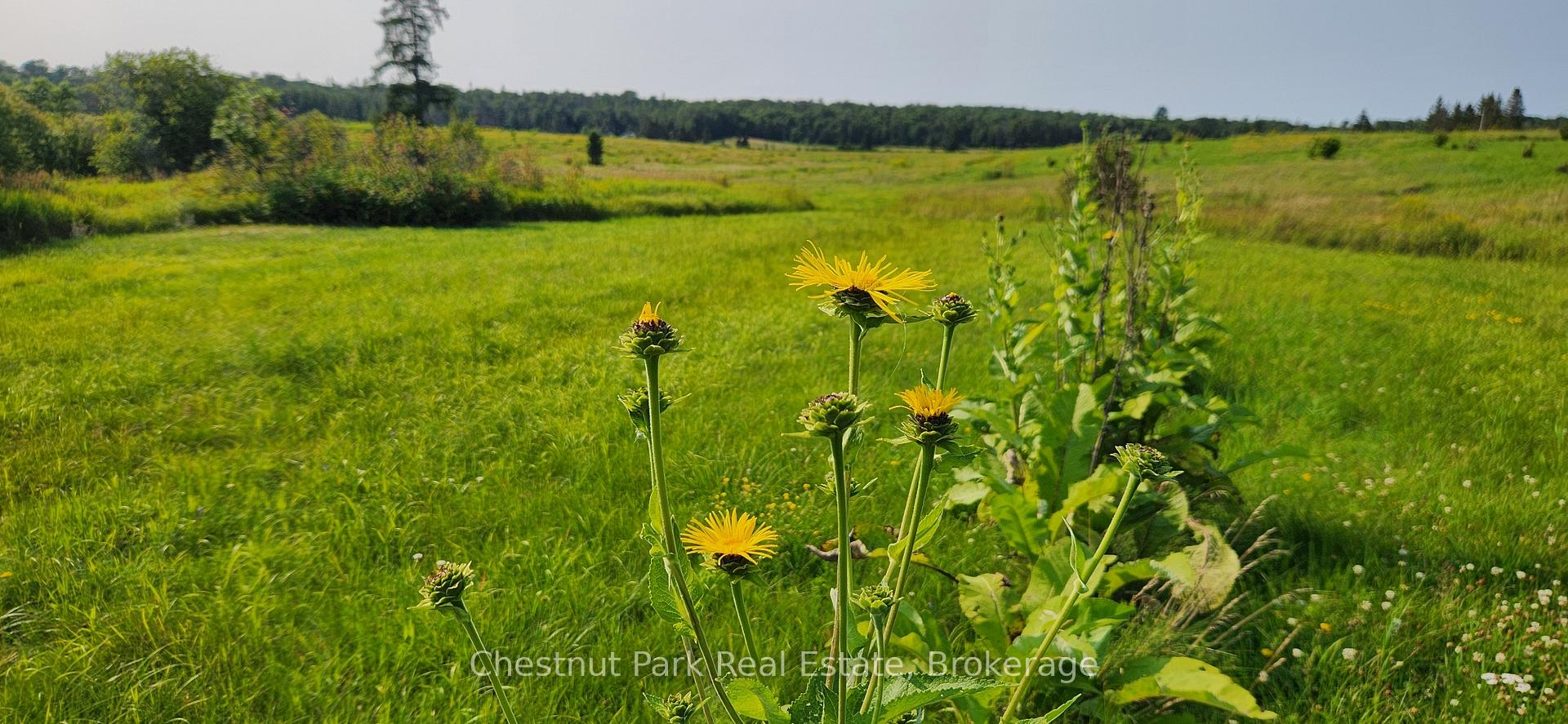 Photo 21 of Pearceley Road, Magnetawan — HOMEH