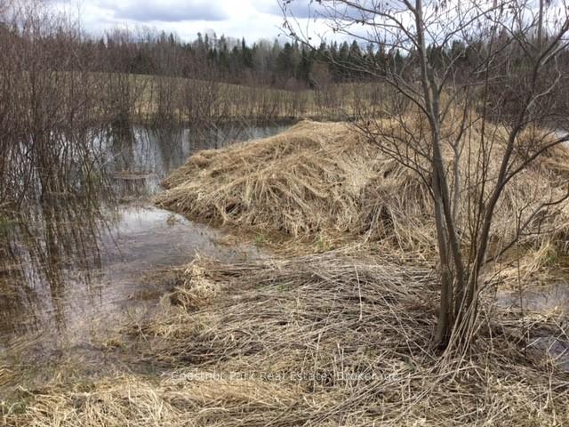 Photo 29 of Pearceley Road, Magnetawan — HOMEH