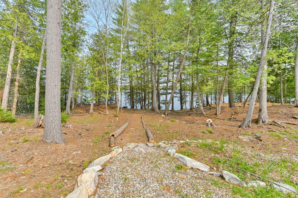 Photo 33 of 1008B Gordie Lane, North Frontenac, Frontenac North — HOMEH