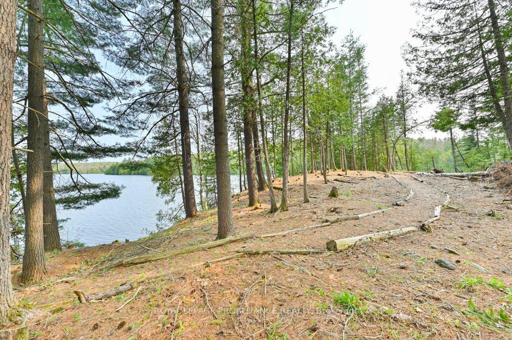 Photo 35 of 1008B Gordie Lane, North Frontenac, Frontenac North — HOMEH