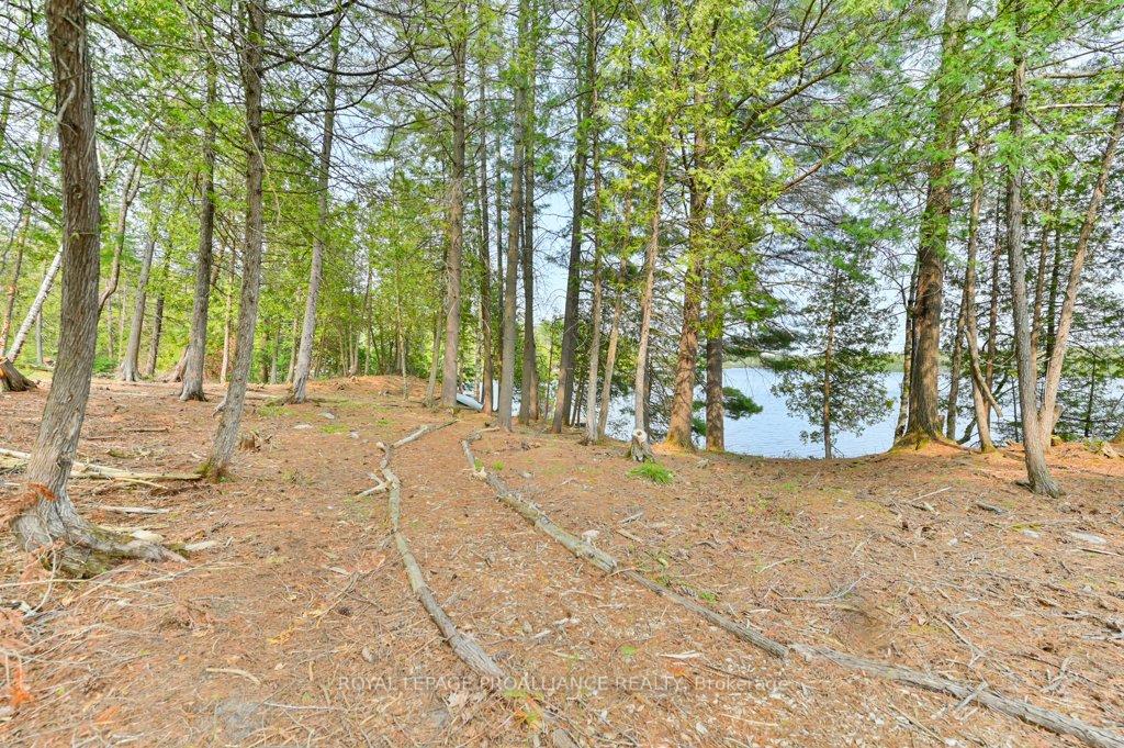 Photo 36 of 1008B Gordie Lane, North Frontenac, Frontenac North — HOMEH