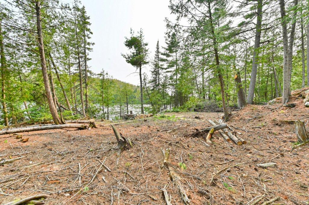 Photo 37 of 1008B Gordie Lane, North Frontenac, Frontenac North — HOMEH