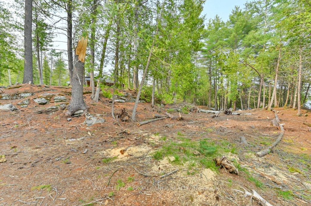 Photo 38 of 1008B Gordie Lane, North Frontenac, Frontenac North — HOMEH