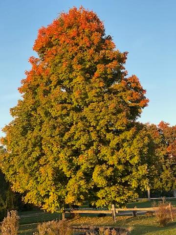 Photo 33 of 7161 Franktown Road, Ottawa, Btwn Franktown Rd. & Fallowfield Rd. — HOMEH