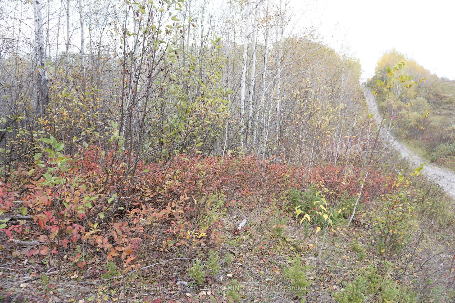 Photo 1 of Lot 1A Campbells Road, Englehart, Central Timiskaming — HOMEH