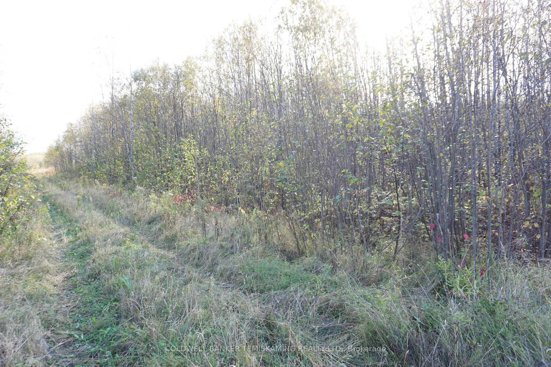 Photo 2 of Lot 1A Campbells Road, Englehart, Central Timiskaming — HOMEH