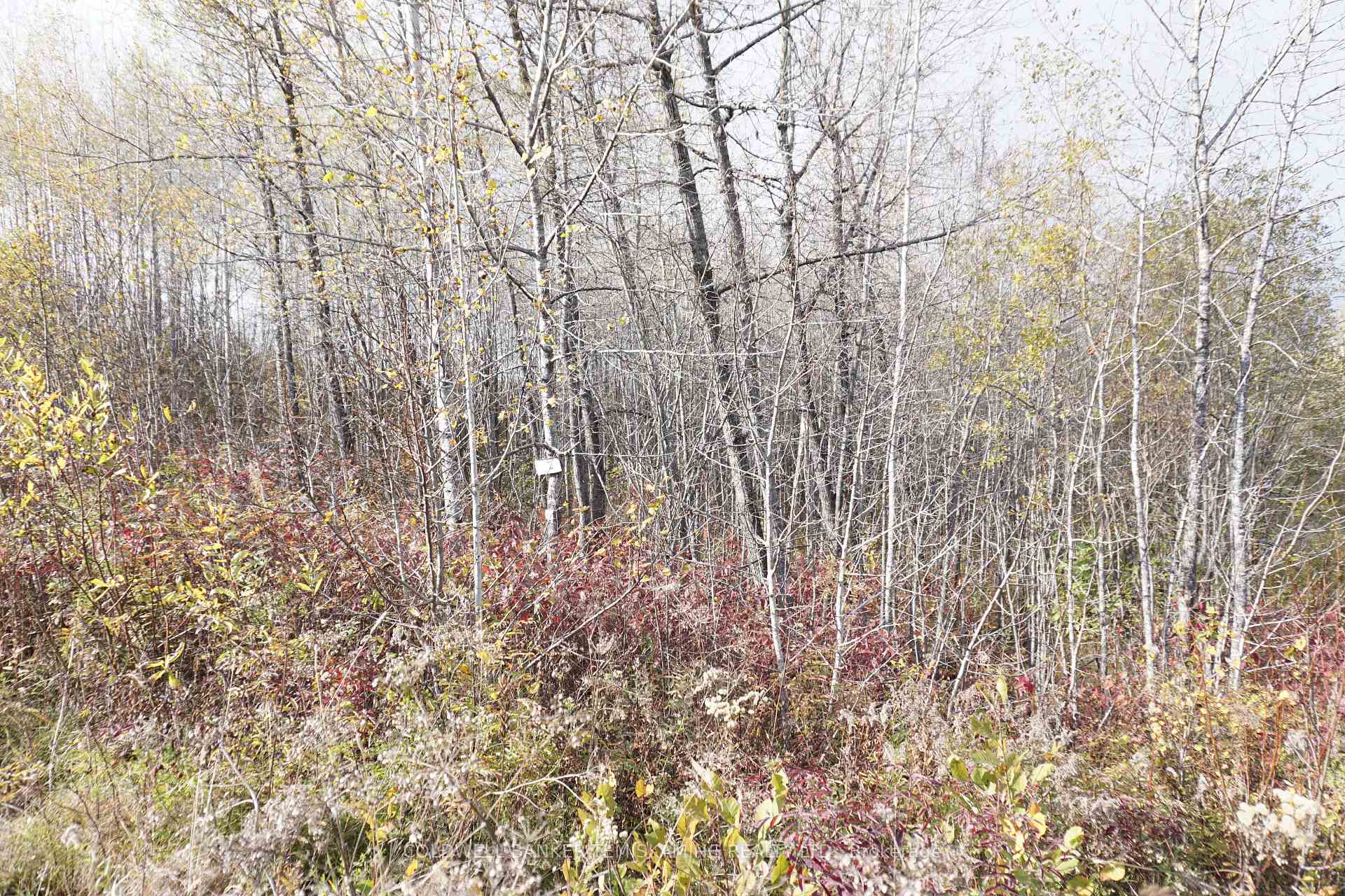 Photo 3 of Lot 1A Campbells Road, Englehart, Central Timiskaming — HOMEH