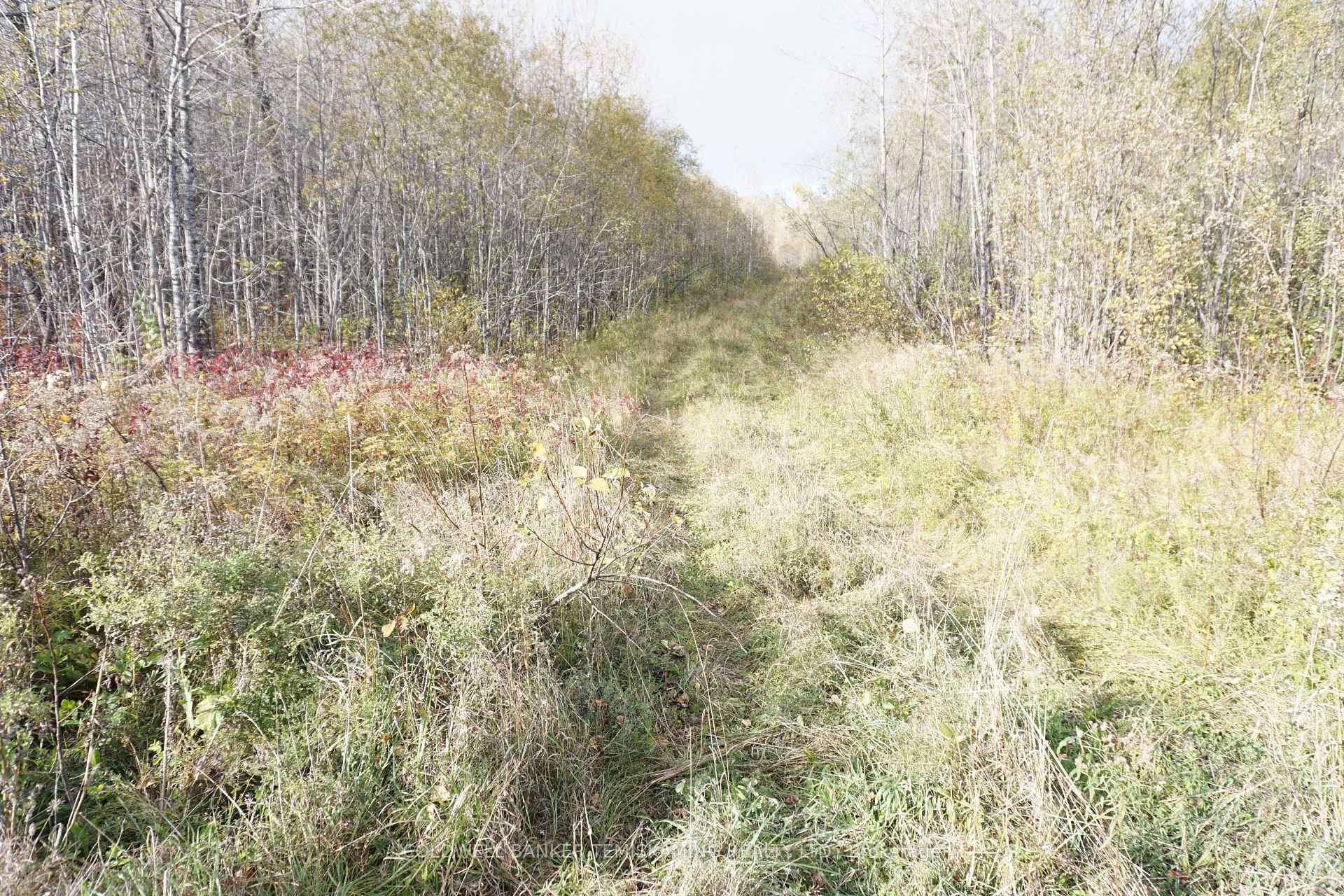 Photo 4 of Lot 1A Campbells Road, Englehart, Central Timiskaming — HOMEH