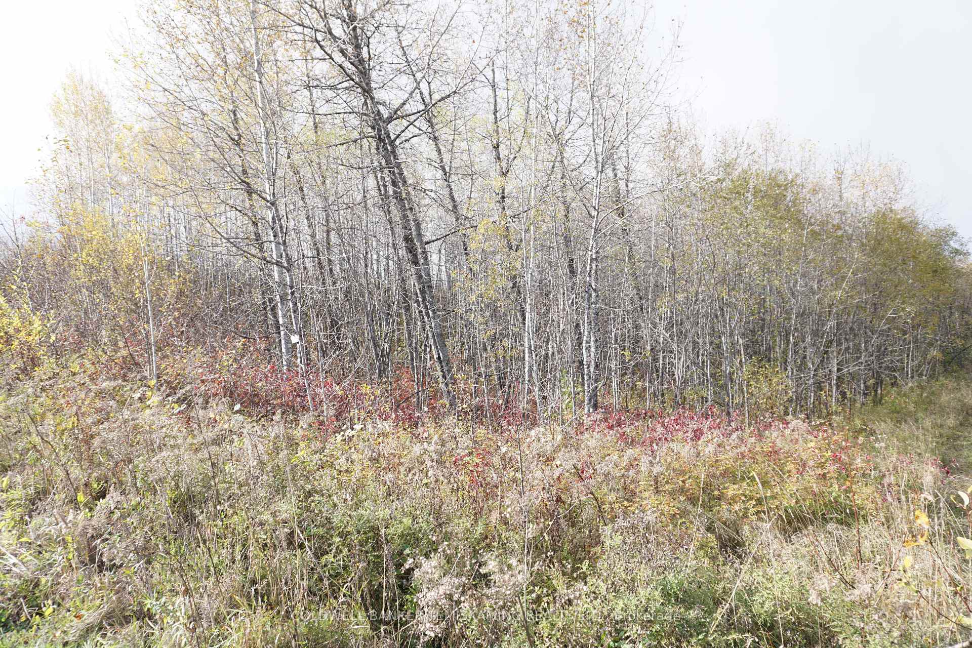 Photo 5 of Lot 1A Campbells Road, Englehart, Central Timiskaming — HOMEH