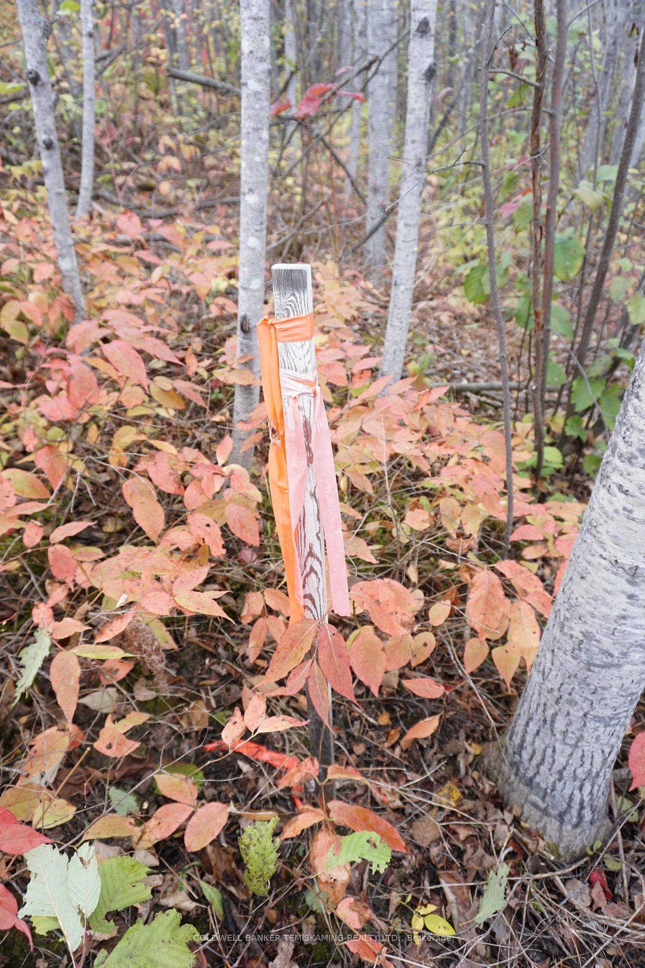 Photo 6 of Lot 1A Campbells Road, Englehart, Central Timiskaming — HOMEH