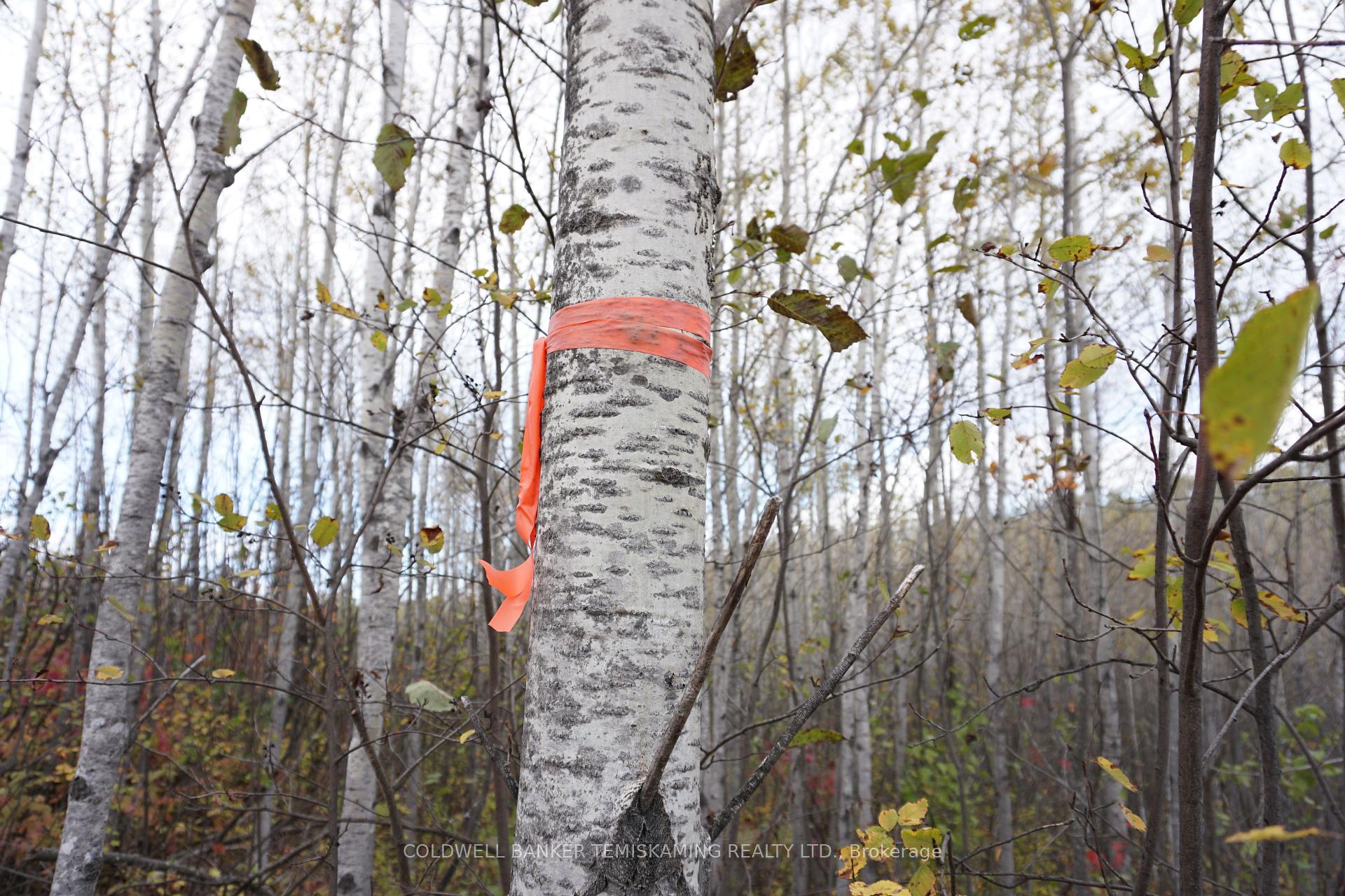 Photo 7 of Lot 1A Campbells Road, Englehart, Central Timiskaming — HOMEH