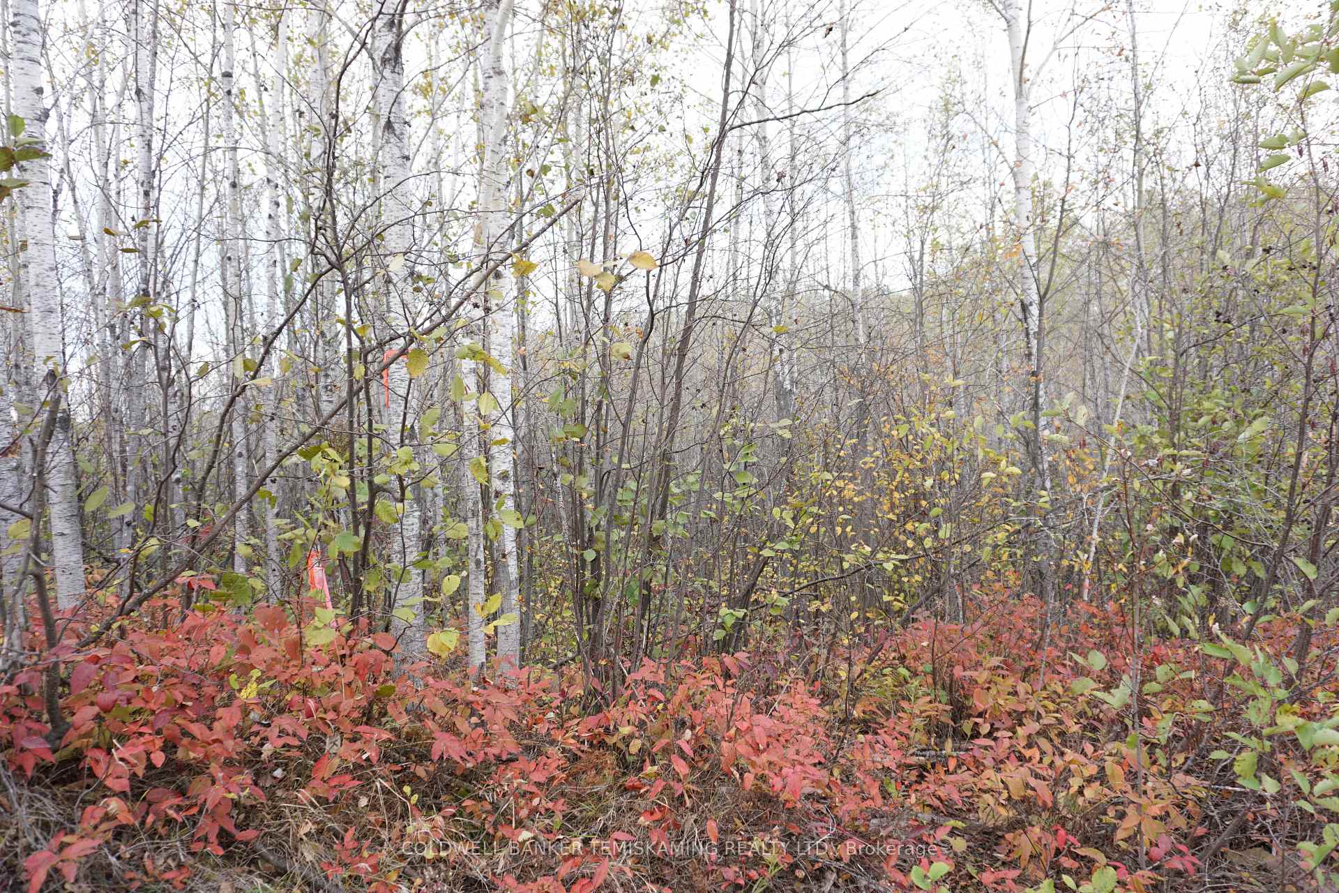 Photo 8 of Lot 1A Campbells Road, Englehart, Central Timiskaming — HOMEH