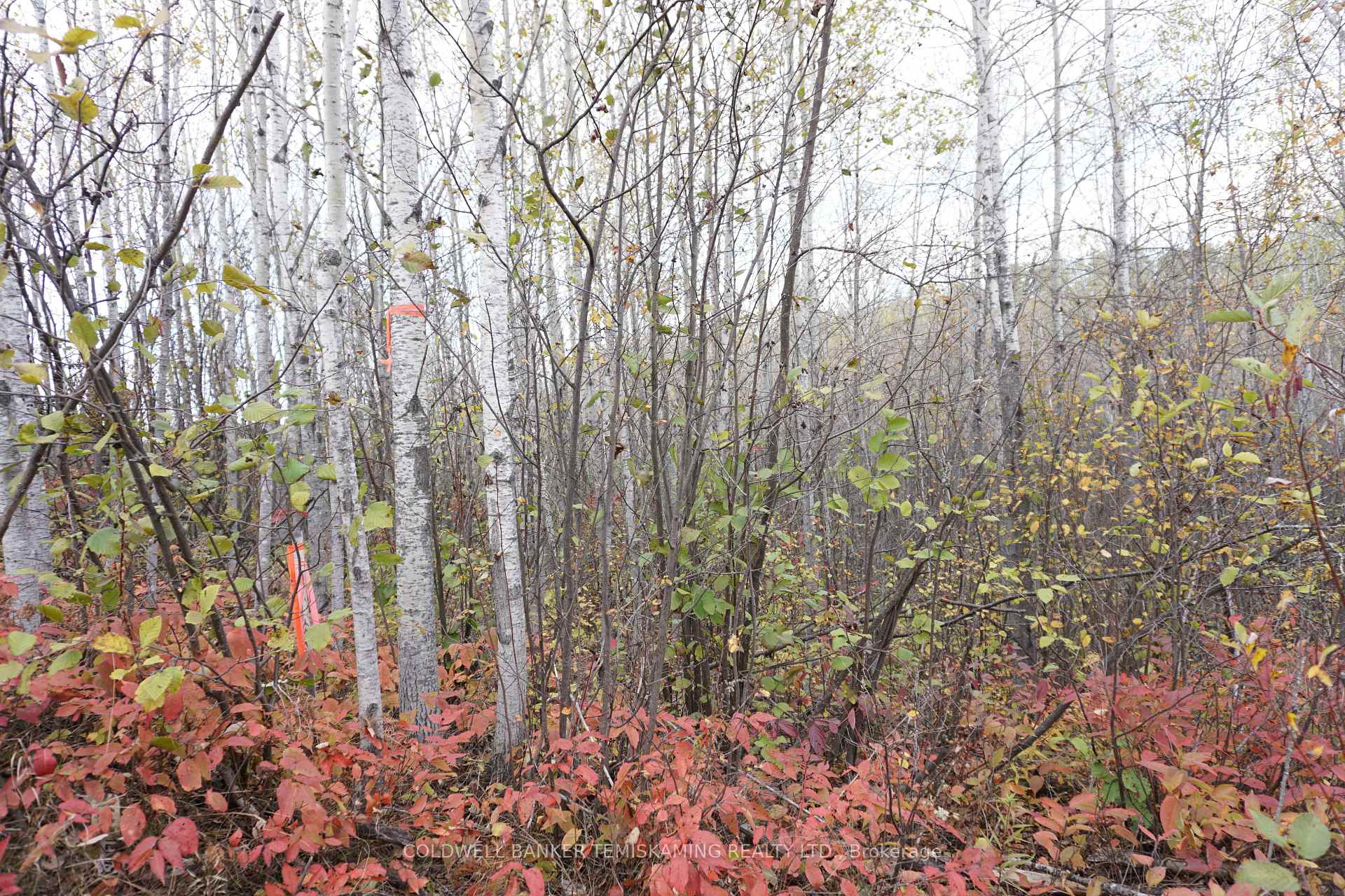 Photo 9 of Lot 1A Campbells Road, Englehart, Central Timiskaming — HOMEH